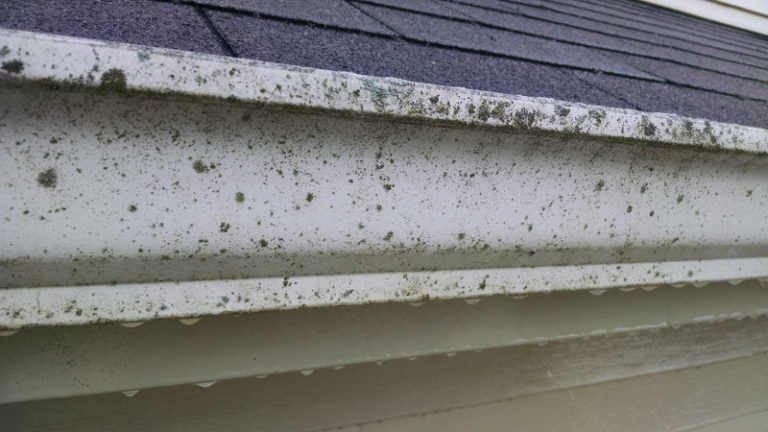 Toledo Gutter Cleaning, Toledo Gutter Washing, Residential Gutter Cleaning Toledo, Perrysburg Gutter Cleaning, Temperence Lambertville Gutter Cleaning, Gutter Cleaning, Sylvania Gutter Cleaning, Team H2O Spray