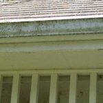 Toledo Gutter Cleaning, Toledo Gutter Washing, Residential Gutter Cleaning Toledo, Perrysburg Gutter Cleaning, Temperence Lambertville Gutter Cleaning, Gutter Cleaning, Sylvania Gutter Cleaning, Team H2O Spray