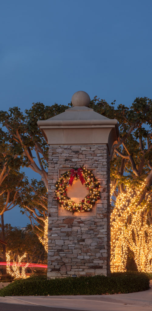 Christmas Light Installation Service Near Me Vineyards Fl